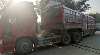 安徽中粮炒籽机发货进行中